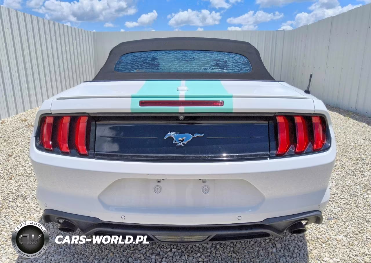 2020 Ford Mustang VIN:1FATP8UH0L5106047 - 6