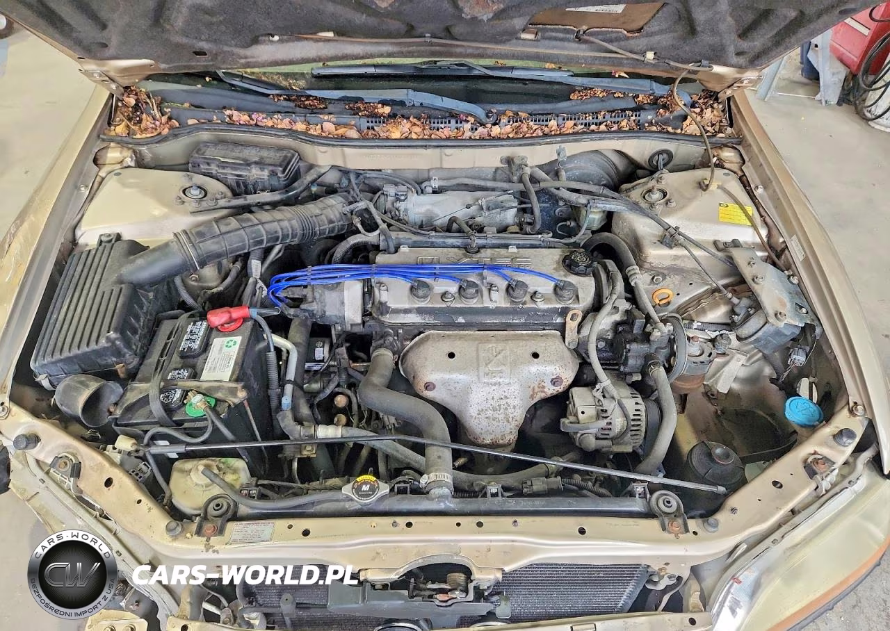 2000 Honda Accord Lx VIN:1HGCG5643YA058725 - 11