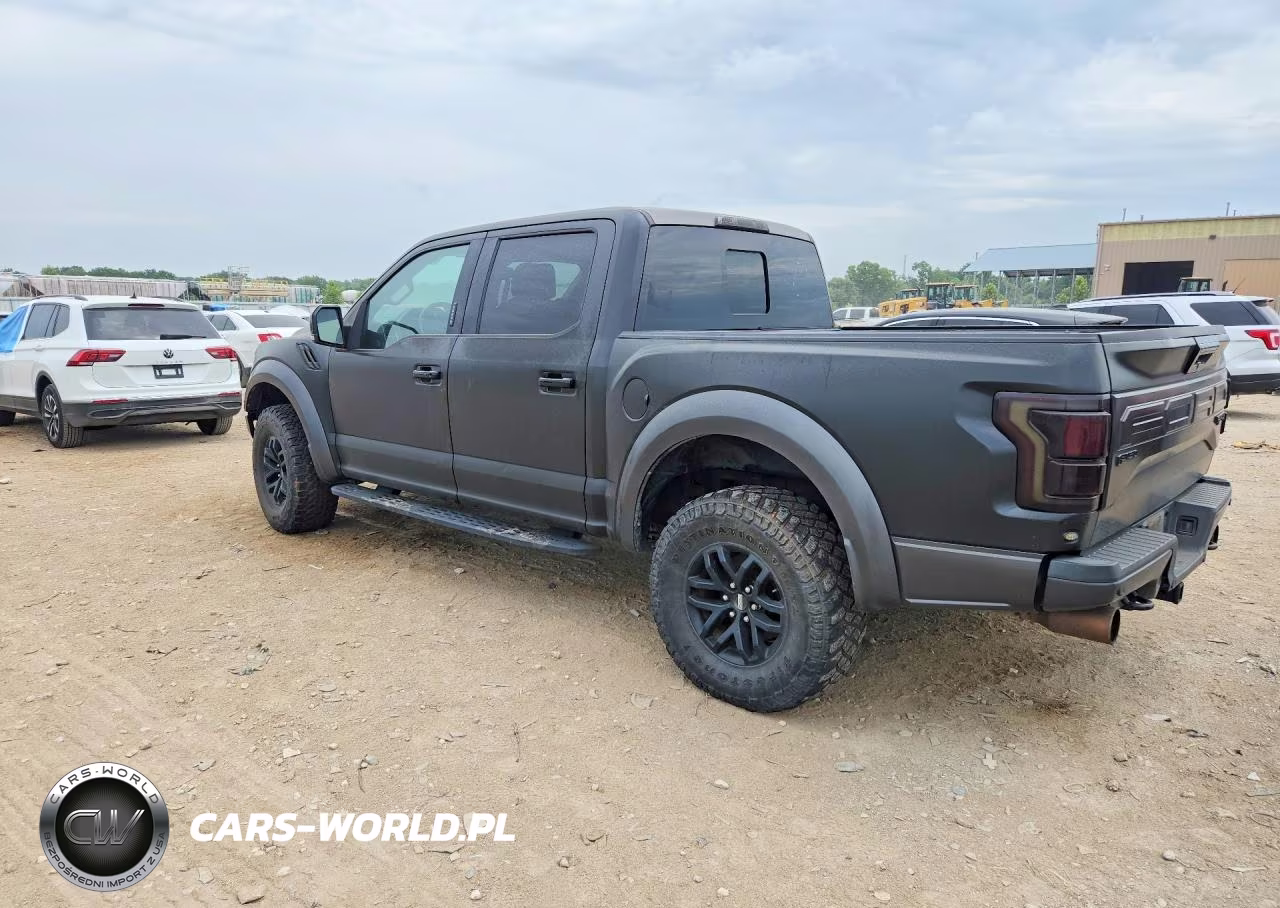2017 Ford F150 Raptor VIN:1FTFW1RGXHFA22420 - 2
