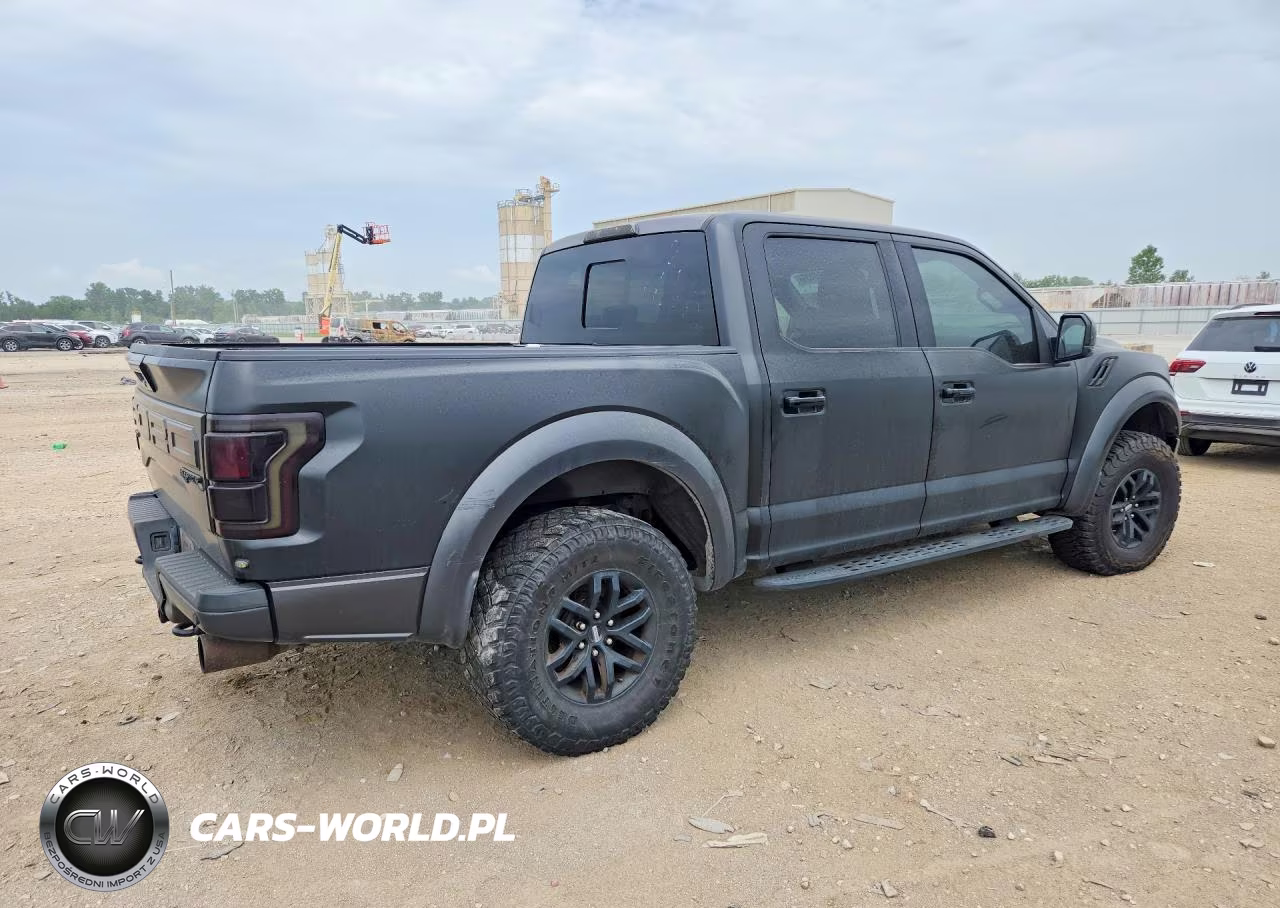2017 Ford F150 Raptor VIN:1FTFW1RGXHFA22420 - 3