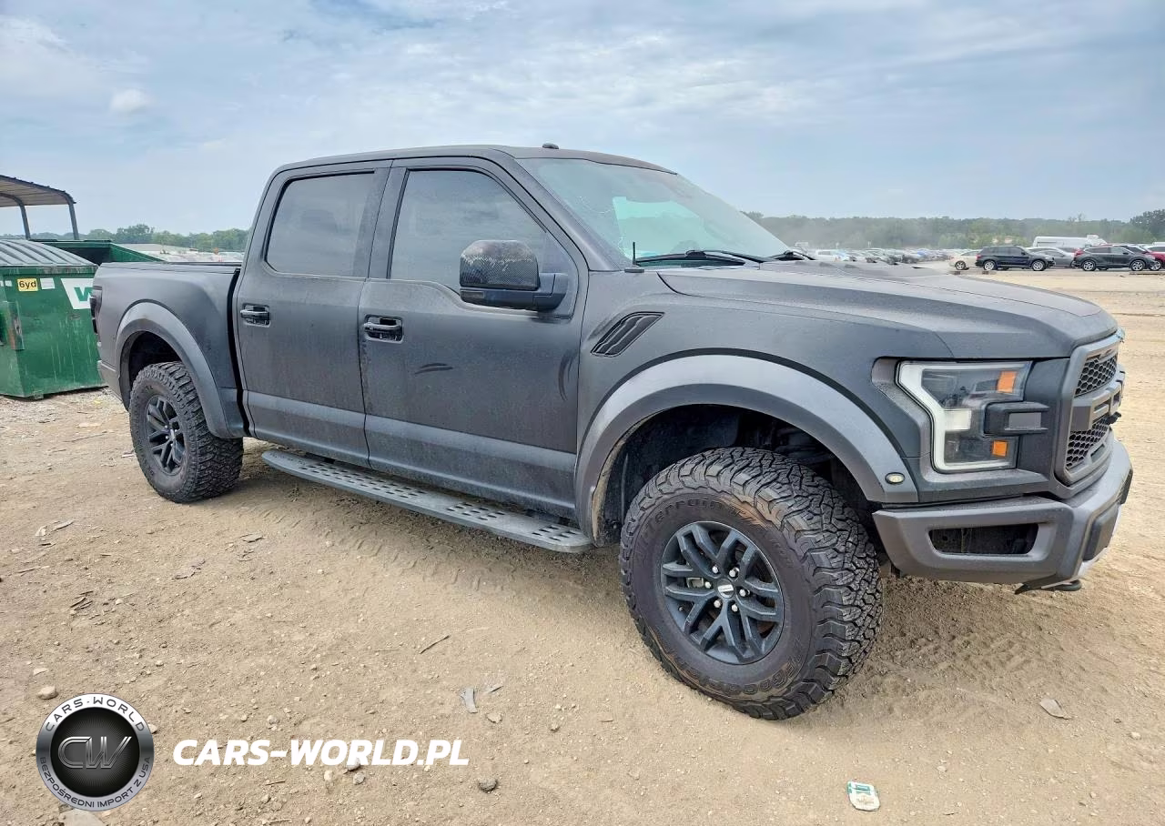 2017 Ford F150 Raptor VIN:1FTFW1RGXHFA22420 - 4