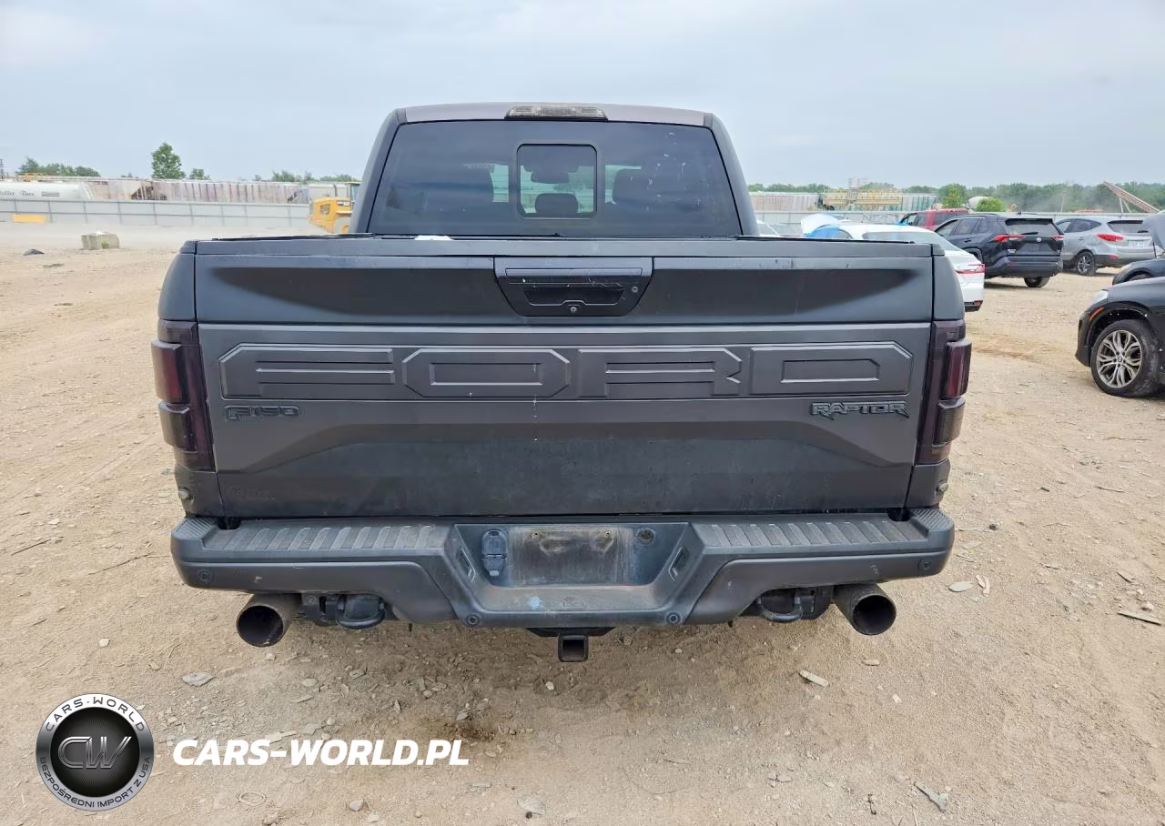 2017 Ford F150 Raptor VIN:1FTFW1RGXHFA22420 - 6