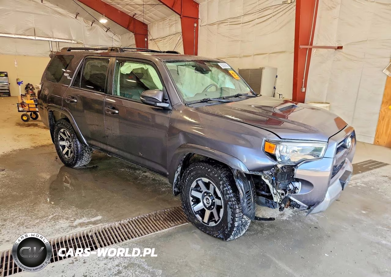2020 Toyota 4Runner Trd Off-Road Premium VIN:JTEBU5JR8L5746724 - 4