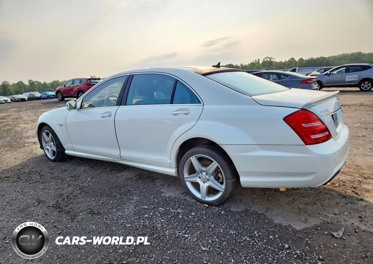 2010 Mercedes-Benz S 550 4Matic VIN:WDDNG8GBXAA319348 - 2