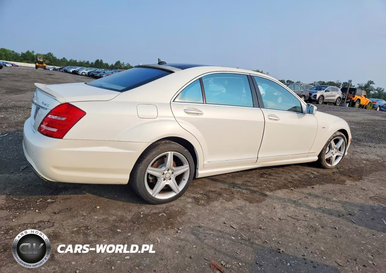 2010 Mercedes-Benz S 550 4Matic VIN:WDDNG8GBXAA319348 - 3