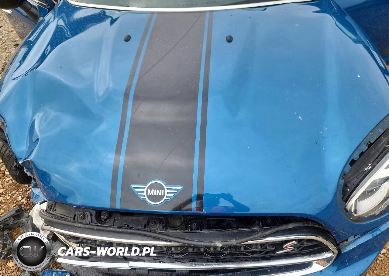 2021 Mini Cooper S Countryman VIN:WMZ53BR04M3M57300 - 11
