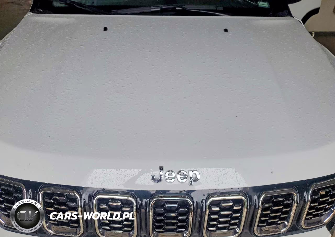 2025 Jeep Compass Limited VIN:3C4NJDCN8ST615984 - 11
