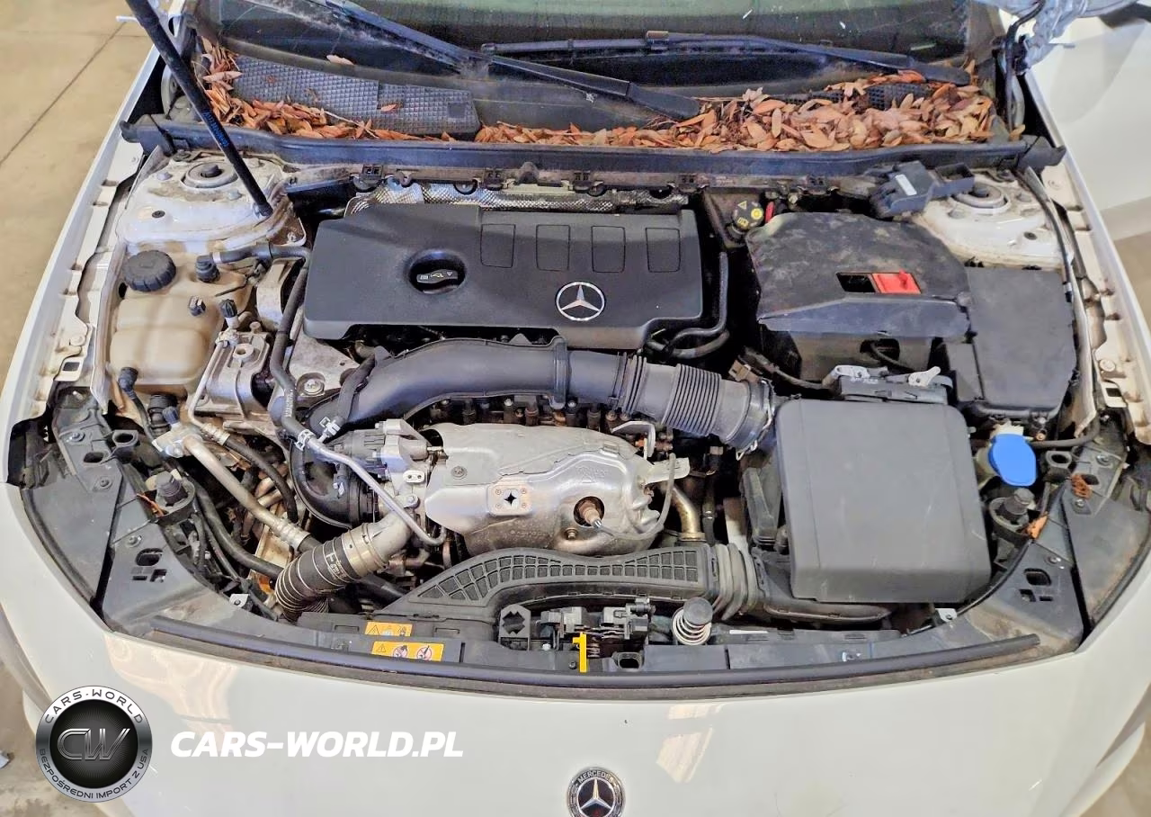 2019 Mercedes-Benz A 220 VIN:WDD3G4EB5KW000477 - 11
