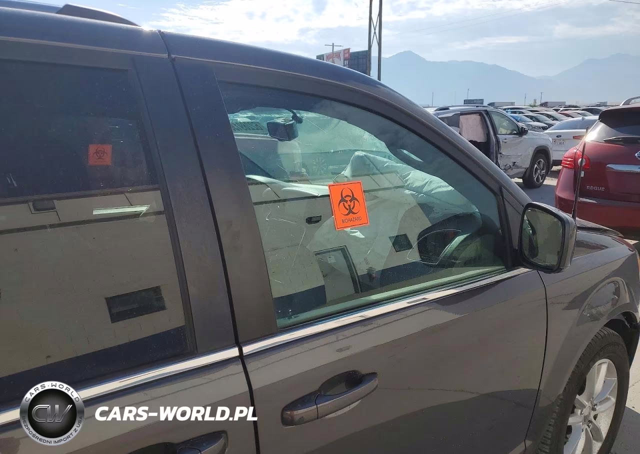 2018 Dodge Grand Caravan Sxt VIN:2C4RDGCG0JR210246 - 10