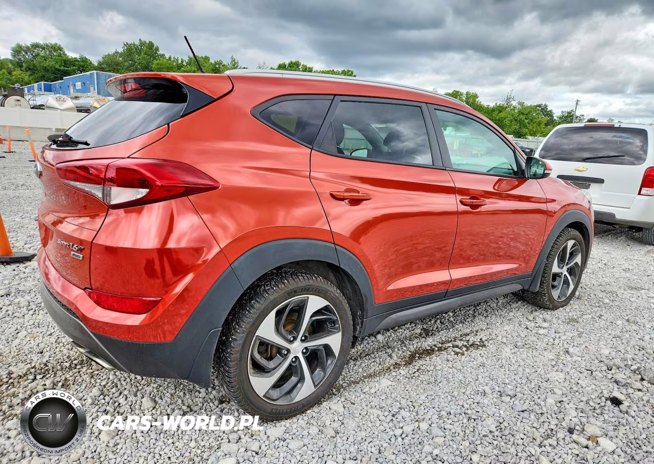 2016 Hyundai Tucson VIN:KM8J3CA24GU069222 - 3