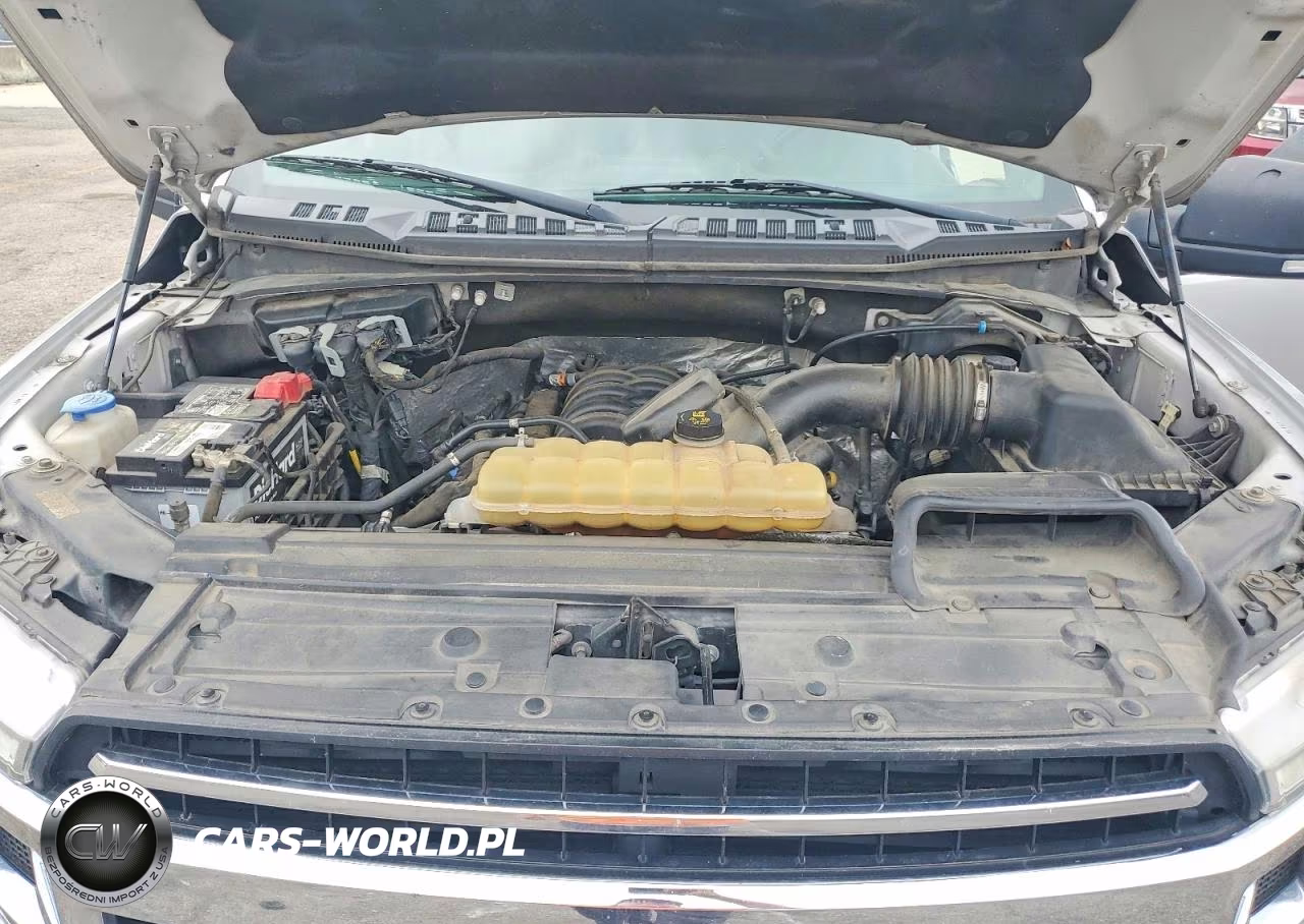 2019 Ford F150 Supercrew VIN:1FTEW1E58KFB64045 - 11