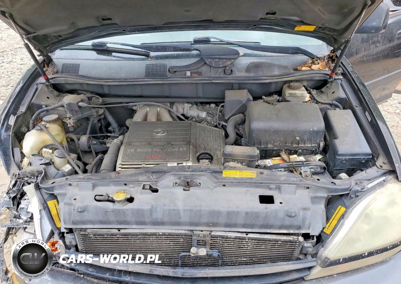 2002 Lexus Rx 300 VIN:JTJGF10U120121481 - 12