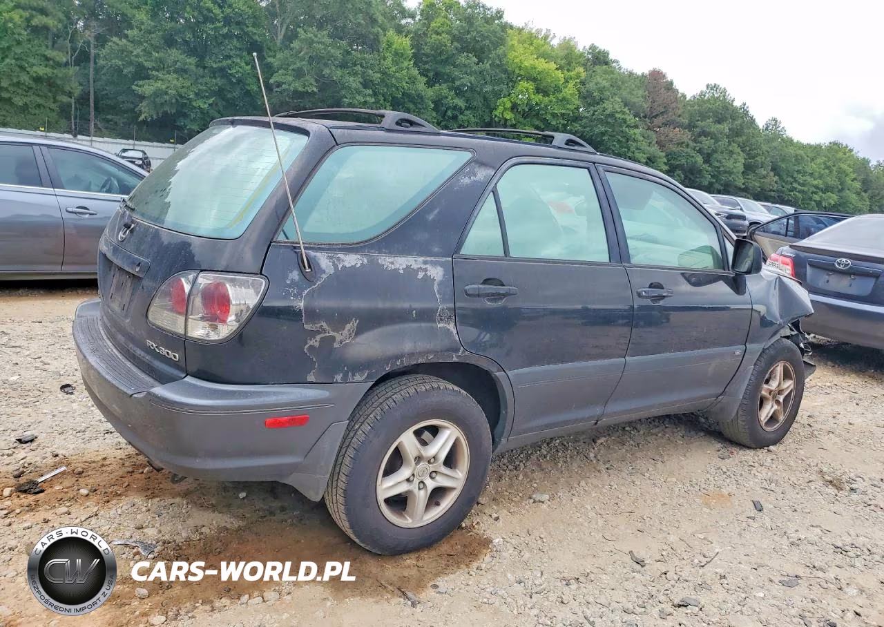2002 Lexus Rx 300 VIN:JTJGF10U120121481 - 3