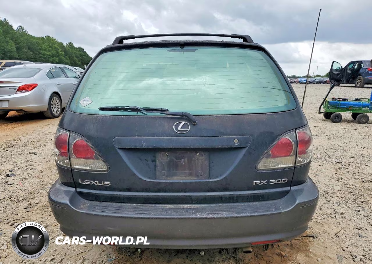 2002 Lexus Rx 300 VIN:JTJGF10U120121481 - 6