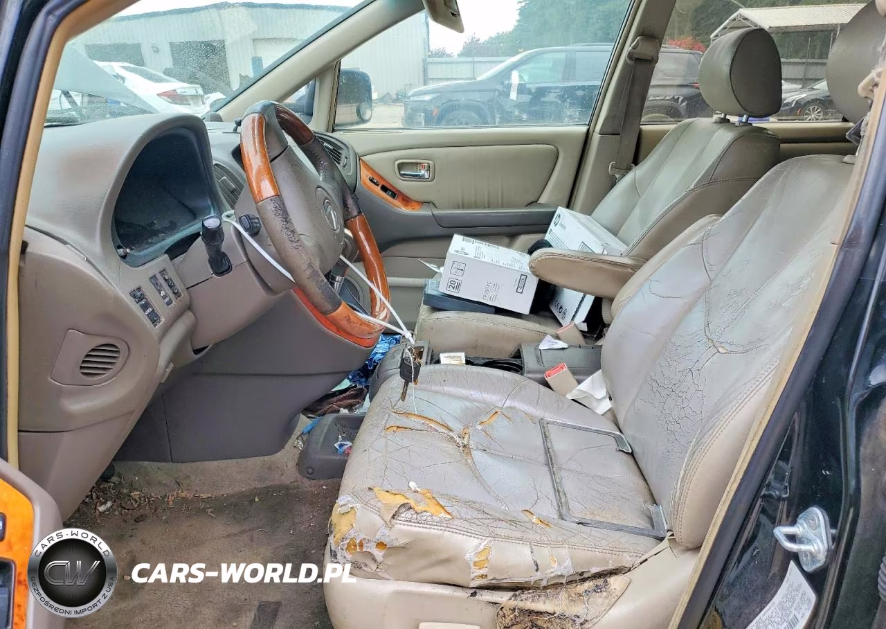 2002 Lexus Rx 300 VIN:JTJGF10U120121481 - 7