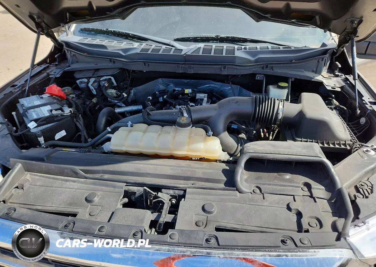2021 Ford F150 Supercrew VIN:1FTEW1CP6MFB23811 - 11