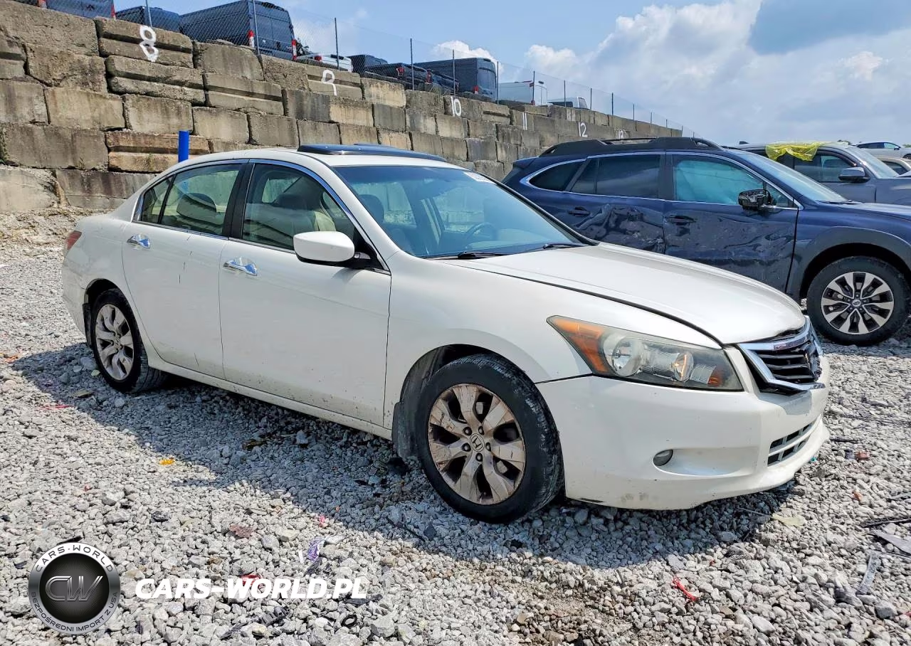 2008 Honda Accord Exl VIN:1HGCP36838A018295 - 4