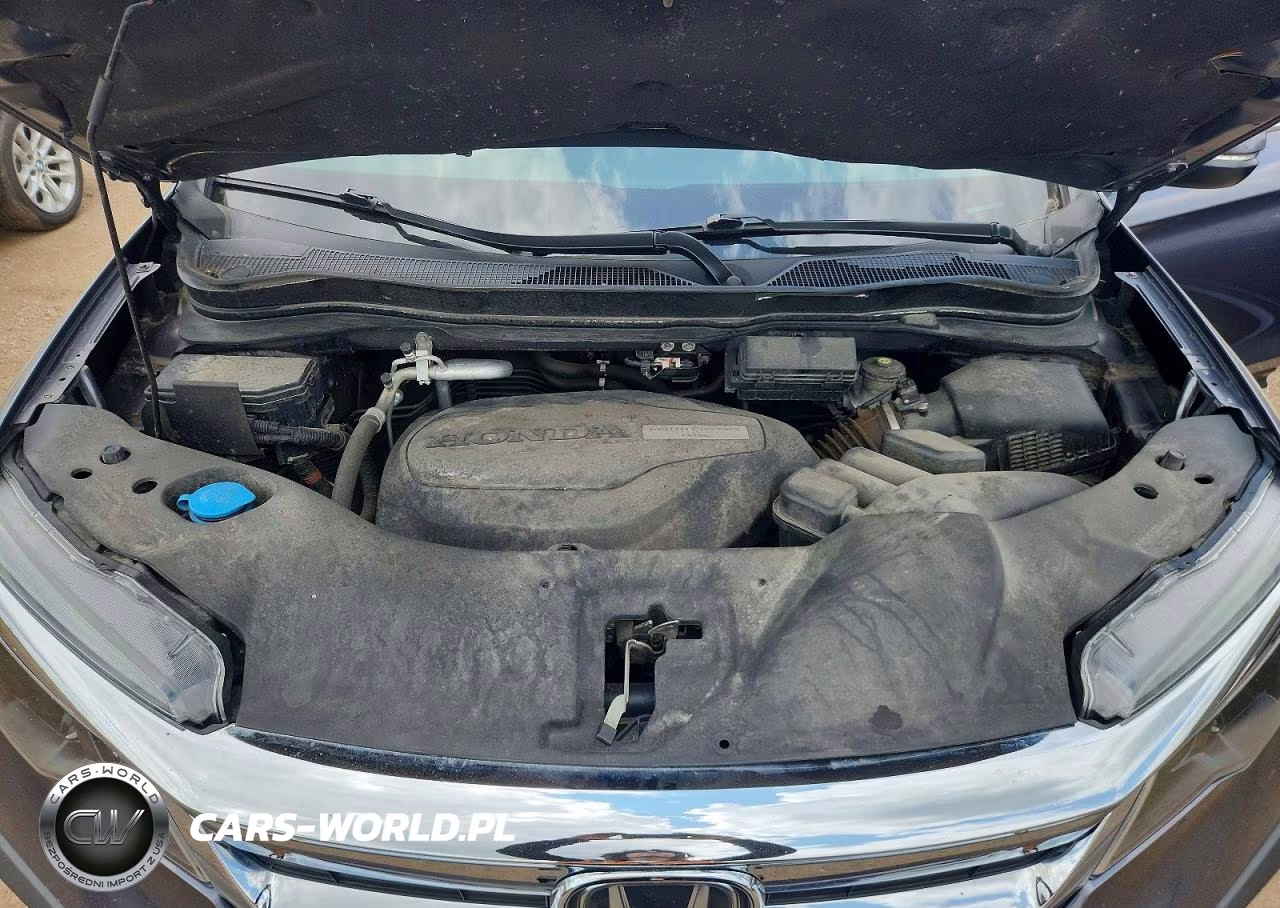 2019 Honda Pilot Exl VIN:5FNYF6H53KB045801 - 12