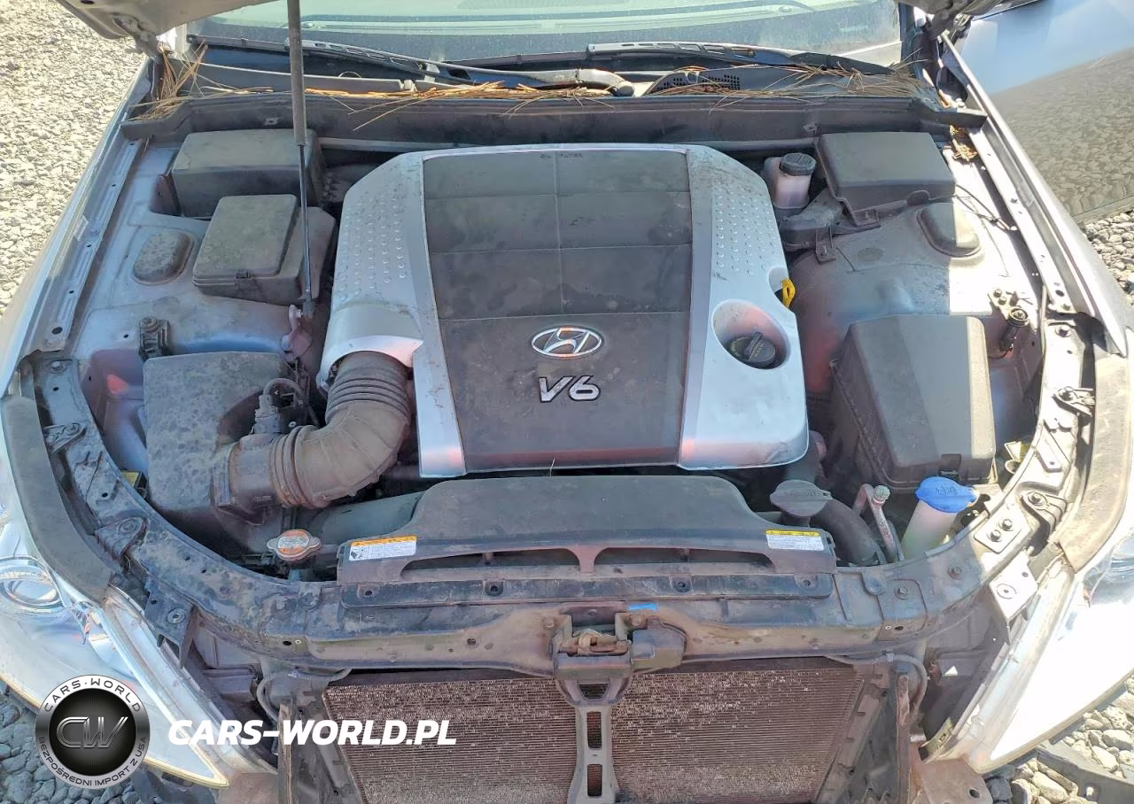 2009 Hyundai Genesis 3.8L VIN:KMHGC46E29U025984 - 11