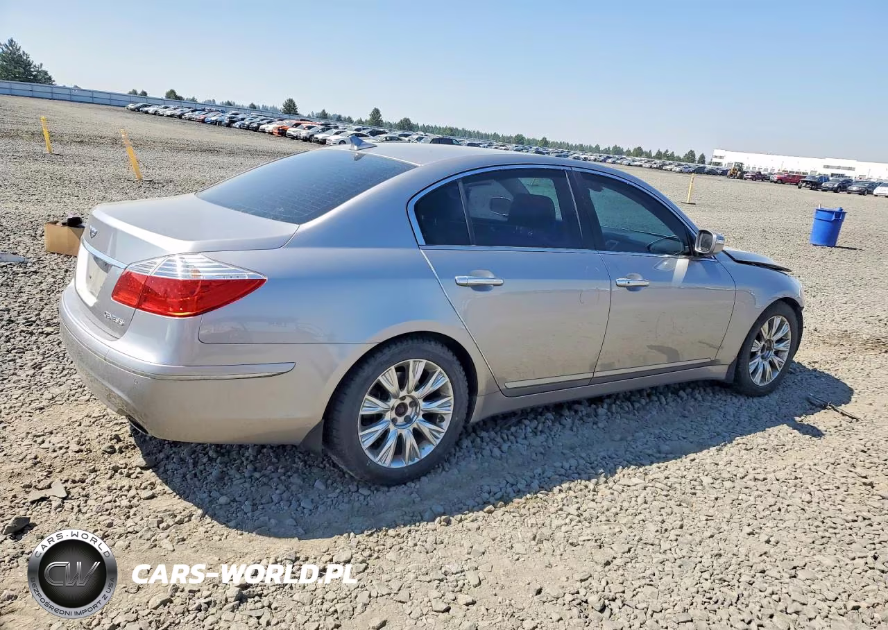 2009 Hyundai Genesis 3.8L VIN:KMHGC46E29U025984 - 3