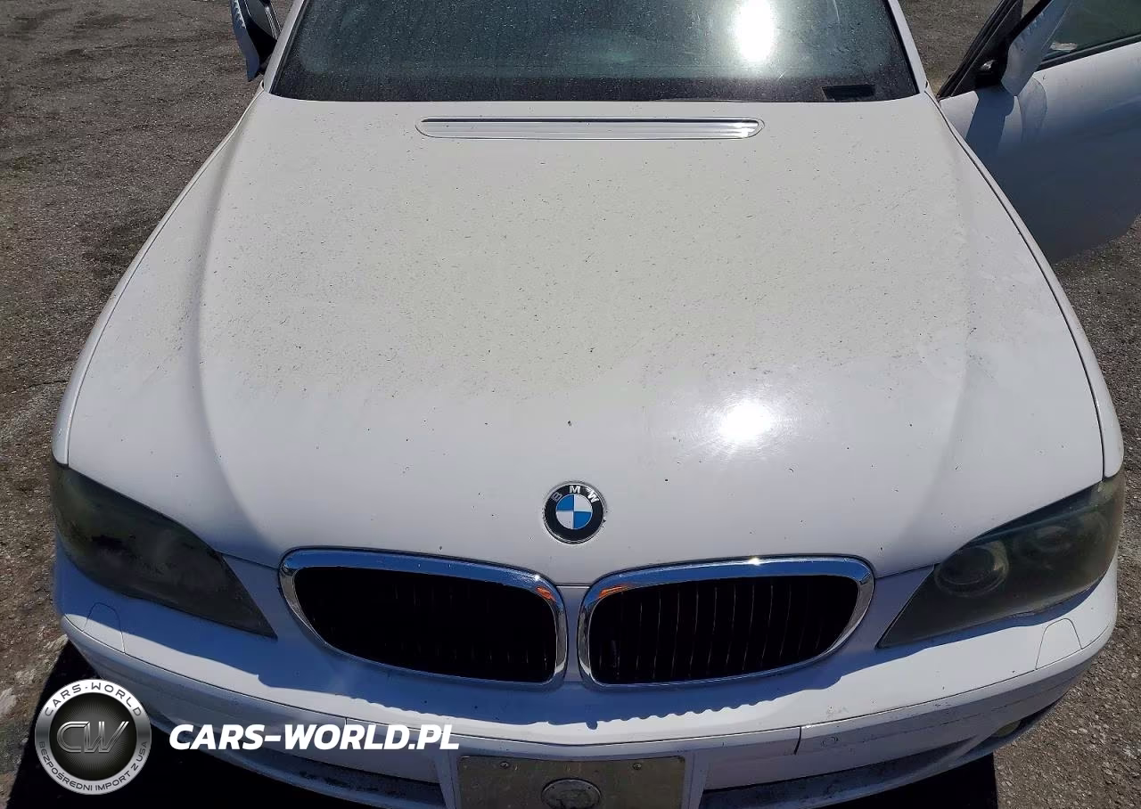 2008 BMW 750 Li VIN:WBAHN83528DT81782 - 11