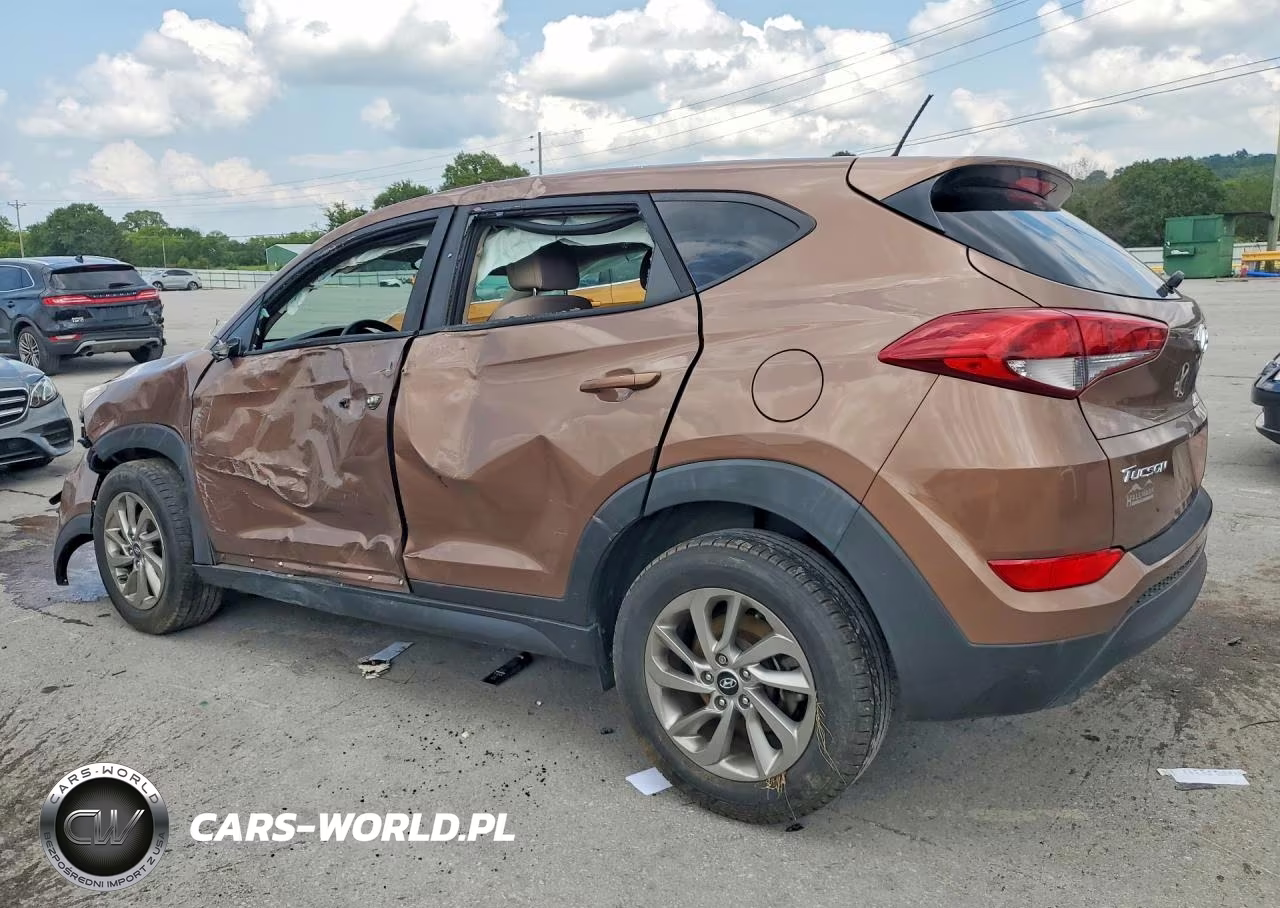 2017 Hyundai Tucson Se VIN:KM8J23A49HU411947 - 2