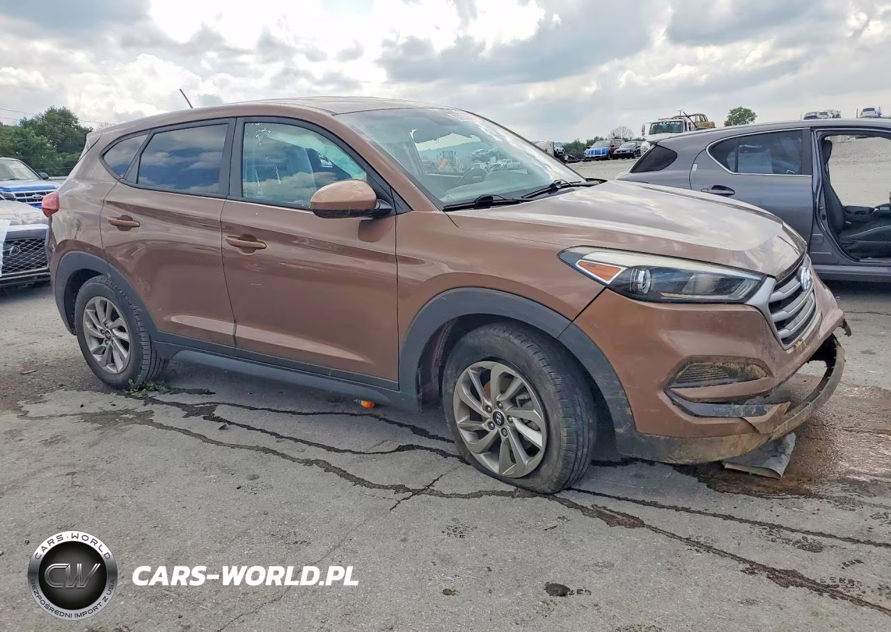 2017 Hyundai Tucson Se VIN:KM8J23A49HU411947 - 4