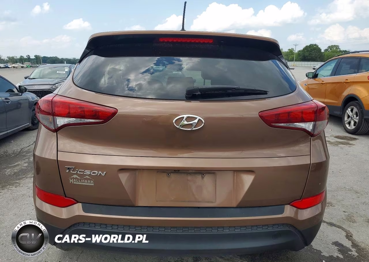 2017 Hyundai Tucson Se VIN:KM8J23A49HU411947 - 6