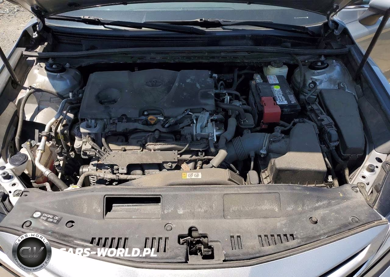 2019 Toyota Camry Se VIN:4T1B11HK8KU162435 - 11