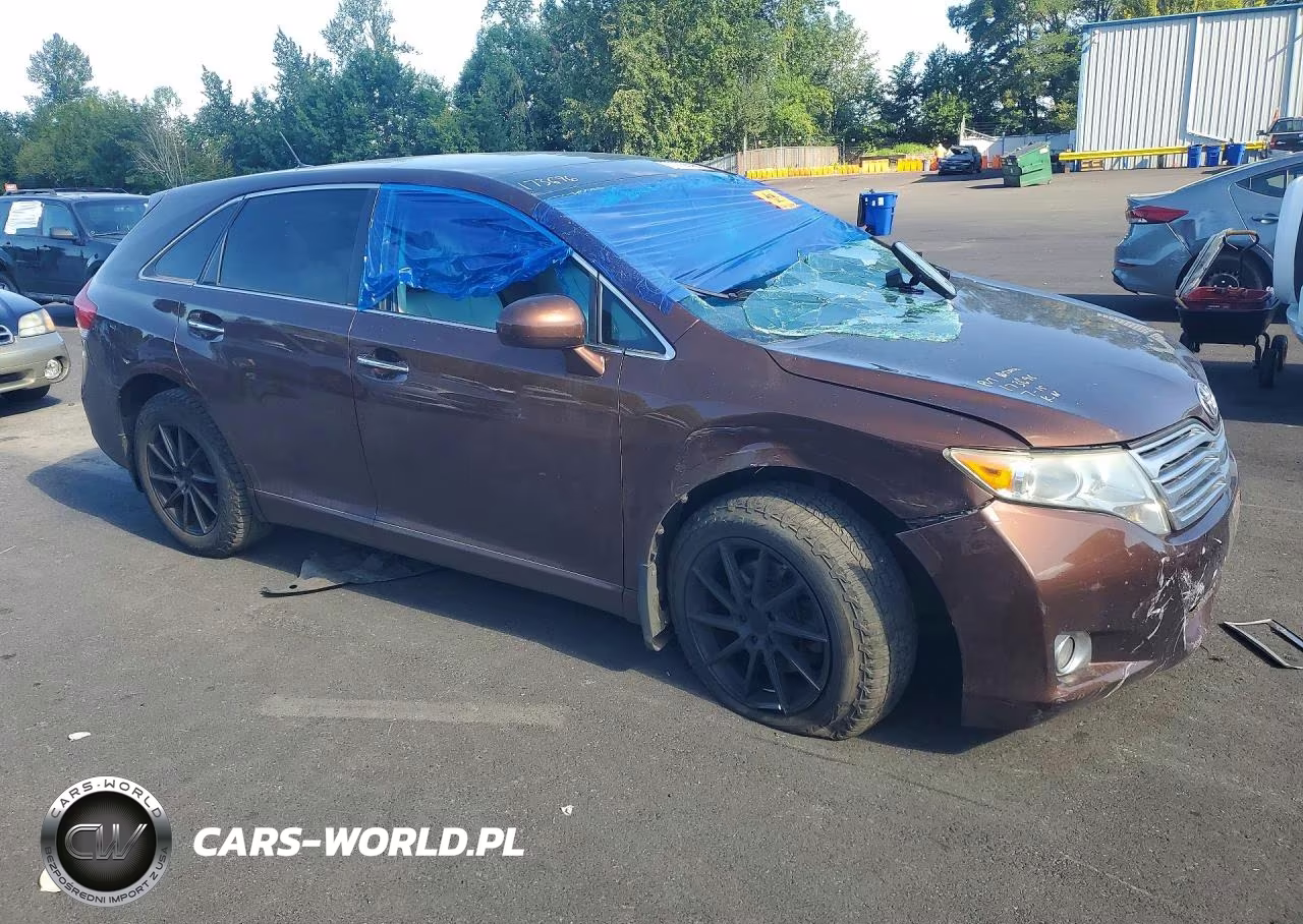 2010 Toyota Venza Awd V6 VIN:4T3BK3BB1AU029300 - 4