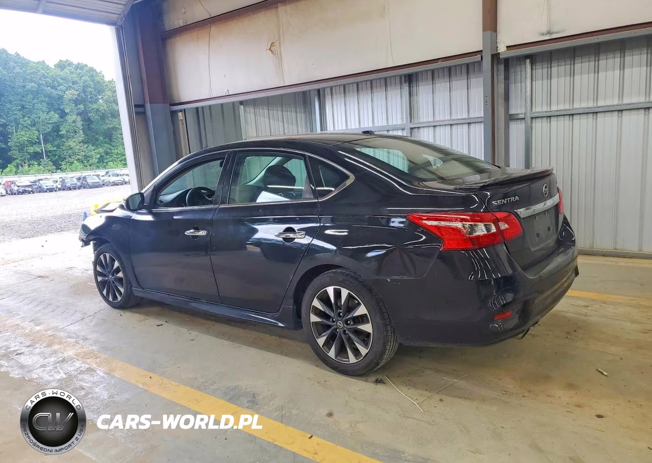 2019 Nissan Sentra Sr VIN:3N1AB7AP3KY396116 - 2