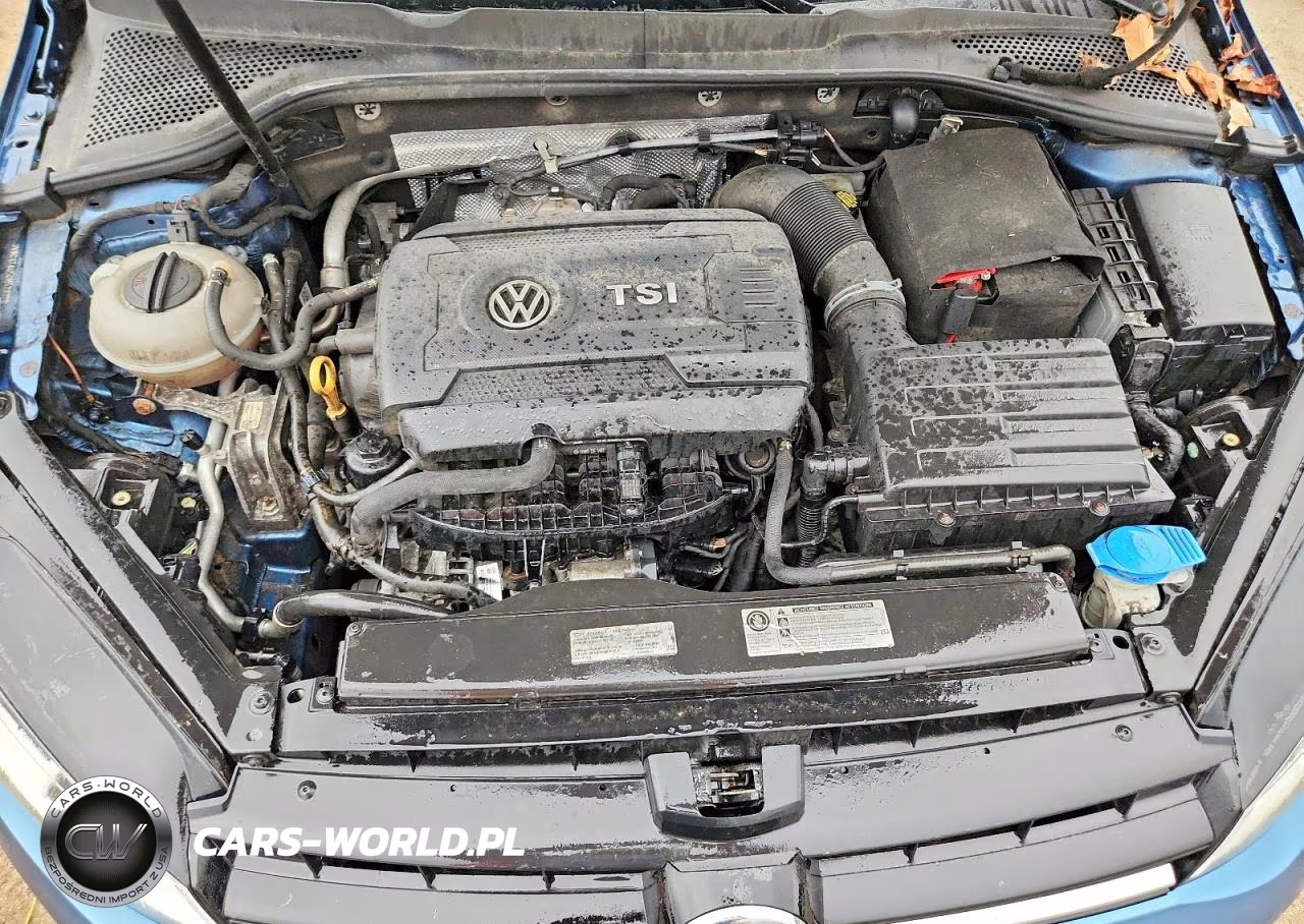 2016 Volkswagen Golf Sportwagen S VIN:3VWC17AU5GM523278 - 11