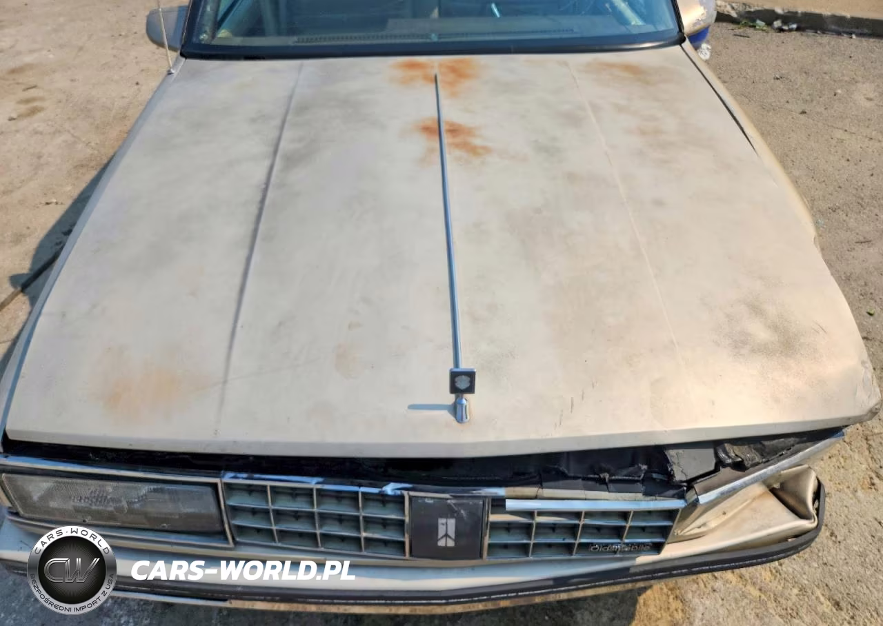 1987 Oldsmobile 98 Regency Brougham VIN:1G3CW5137H4312631 - 11