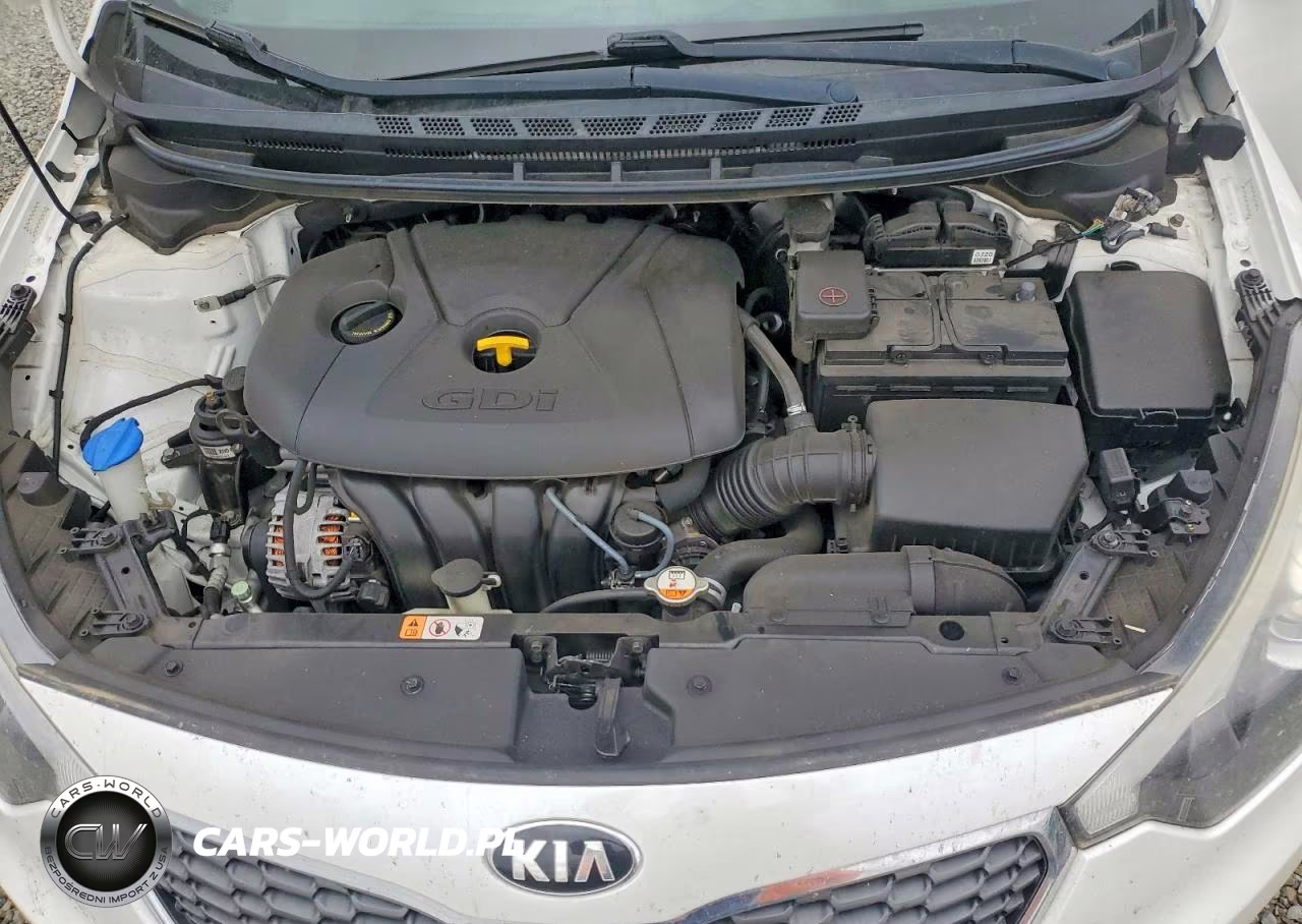 2016 Kia Forte Ex VIN:KNAFX5A81G5633107 - 11