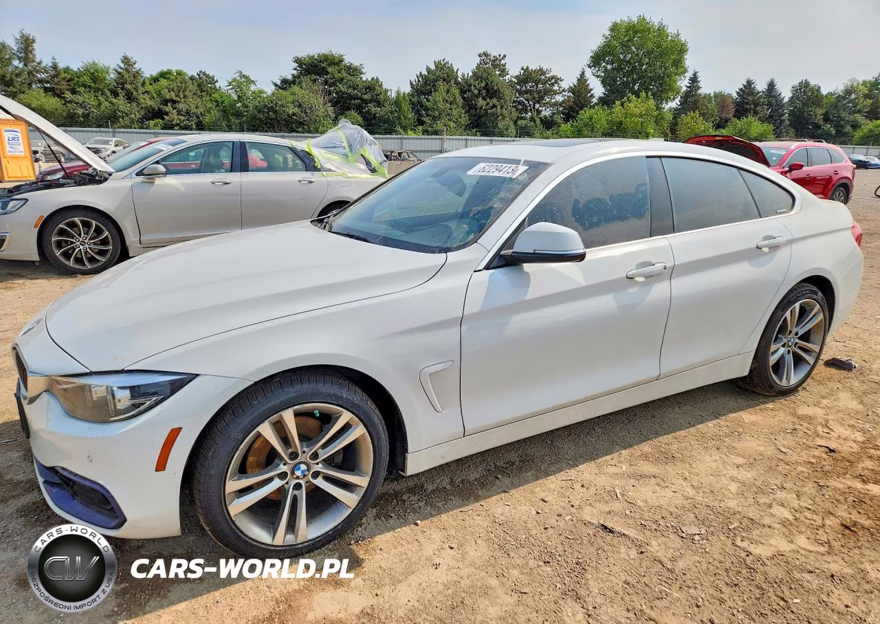 2019 BMW 430Xi Gran Coupe VIN:WBA4J3C51KBL07673 - 1