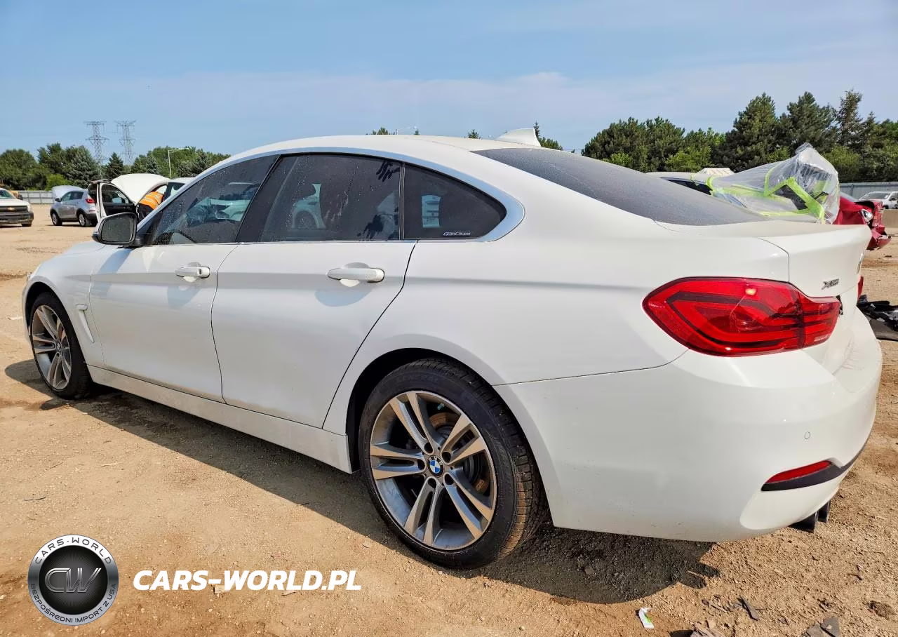 2019 BMW 430Xi Gran Coupe VIN:WBA4J3C51KBL07673 - 2