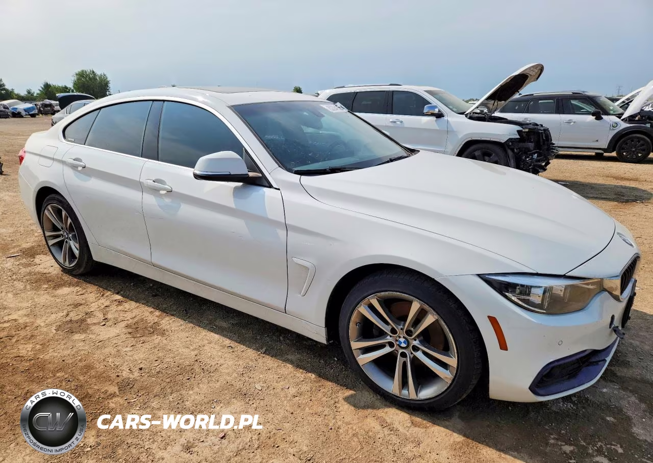 2019 BMW 430Xi Gran Coupe VIN:WBA4J3C51KBL07673 - 4