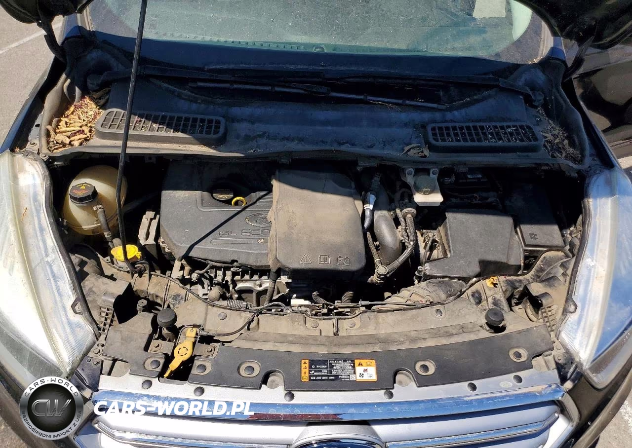2017 Ford Escape Se VIN:1FMCU0GD4HUB09006 - 12