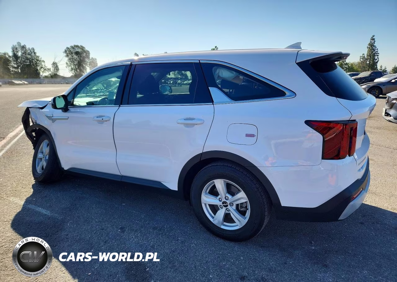 2024 Kia Sorento Lx VIN:5XYRG4JC6RG299455 - 2