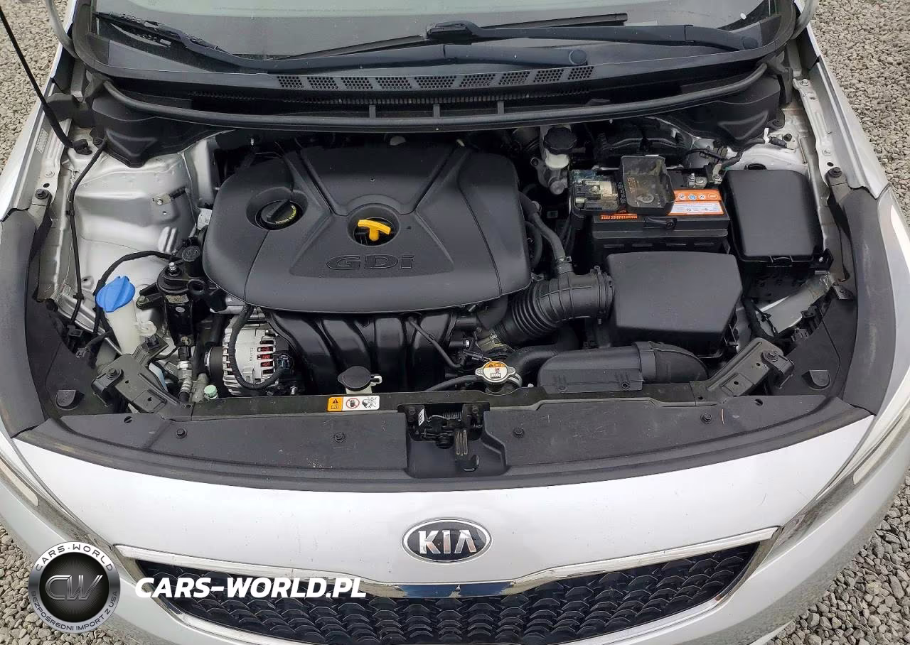 2017 Kia Forte Ex VIN:3KPFN4A87HE005383 - 11