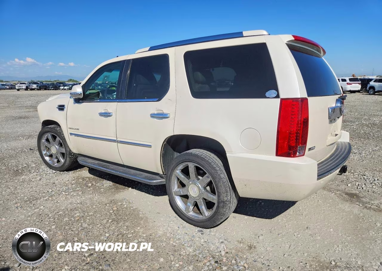 2009 Cadillac Escalade VIN:1GYFK23249R294048 - 2
