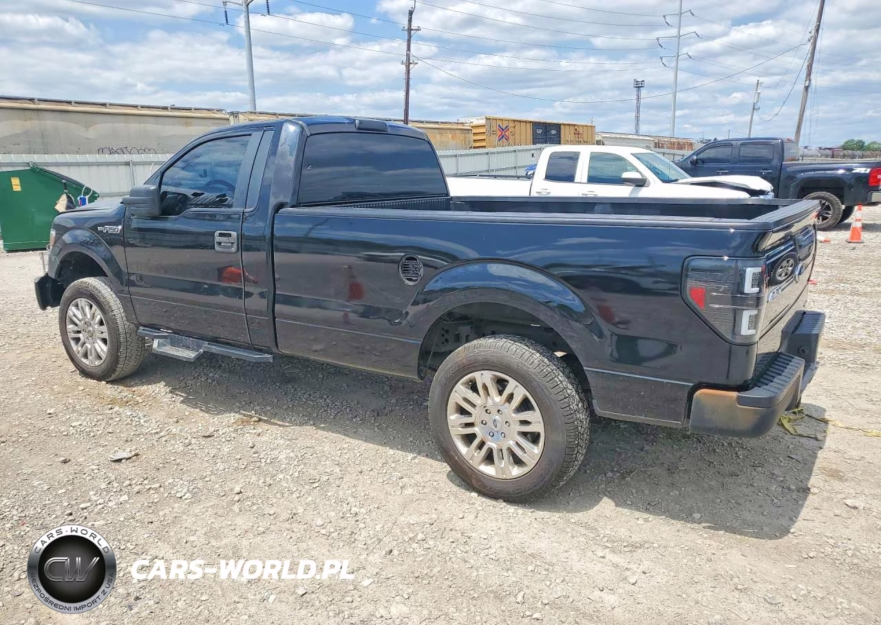 2013 Ford F150 VIN:1FTNF1CF1DKD87582 - 2