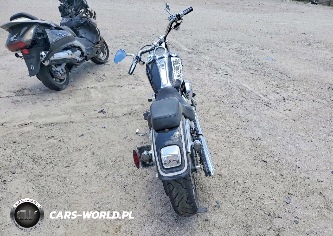 2003 Harley-Davidson Fxstdi VIN:1HD1JBB1X3Y016083 - 4