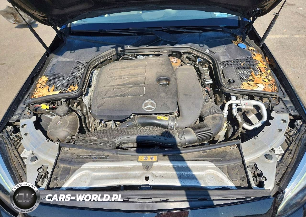 2019 Mercedes-Benz C 300 4Matic VIN:55SWF8EB3KU283756 - 11