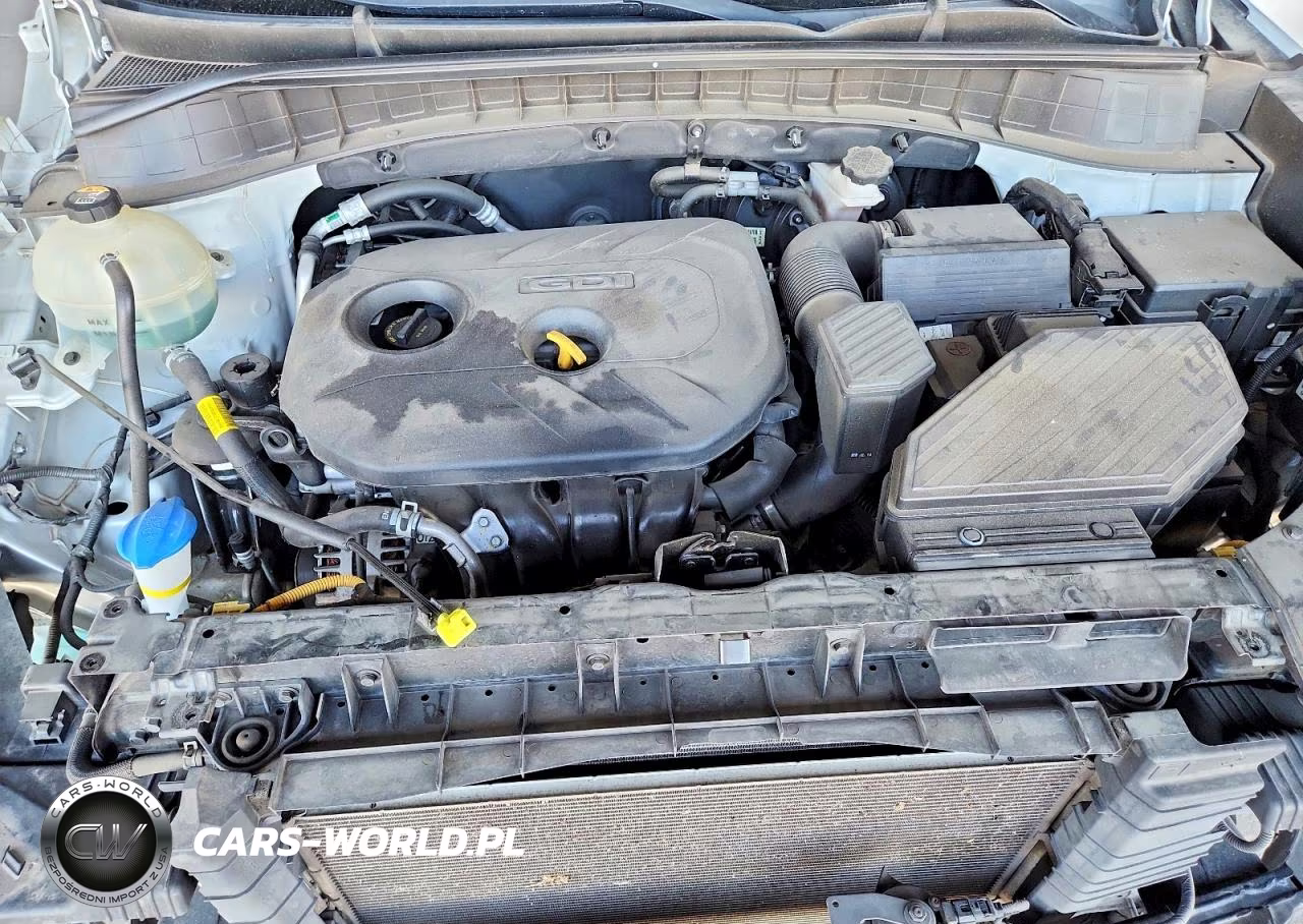 2019 Hyundai Tucson Se VIN:KM8J23A44KU921467 - 12