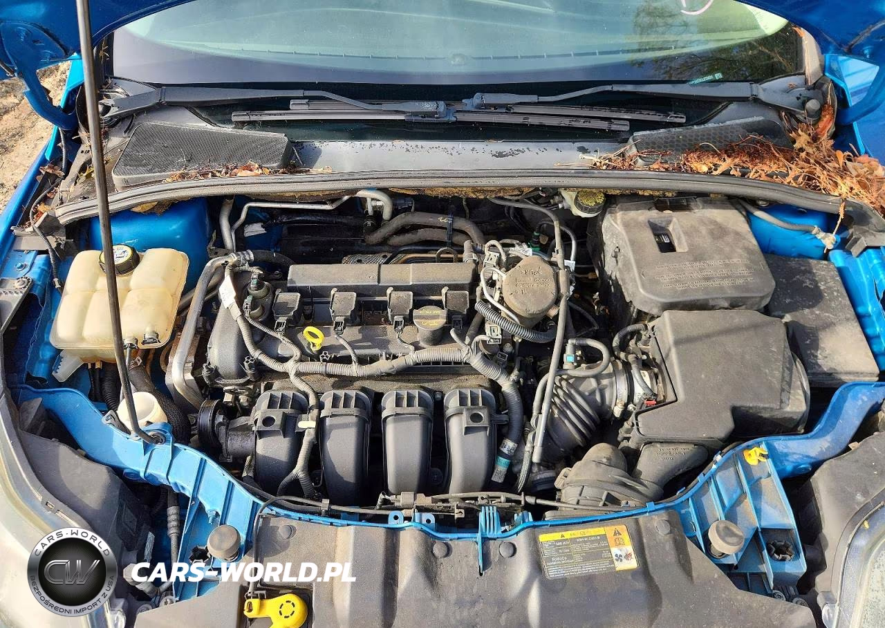 2012 Ford Focus Titanium VIN:1FAHP3N24CL273431 - 11