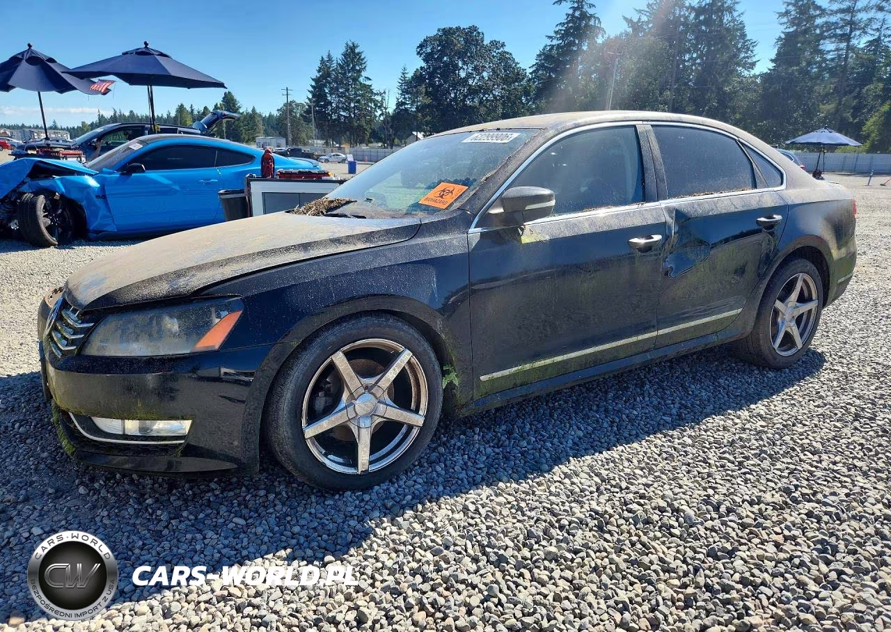 2013 Volkswagen Passat Se