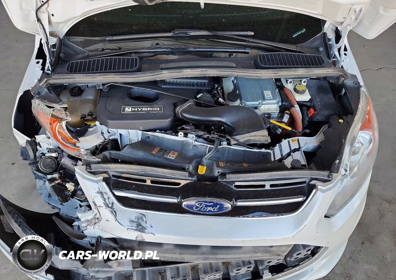 2015 Ford C-Max Sel VIN:1FADP5BU1FL109638 - 11