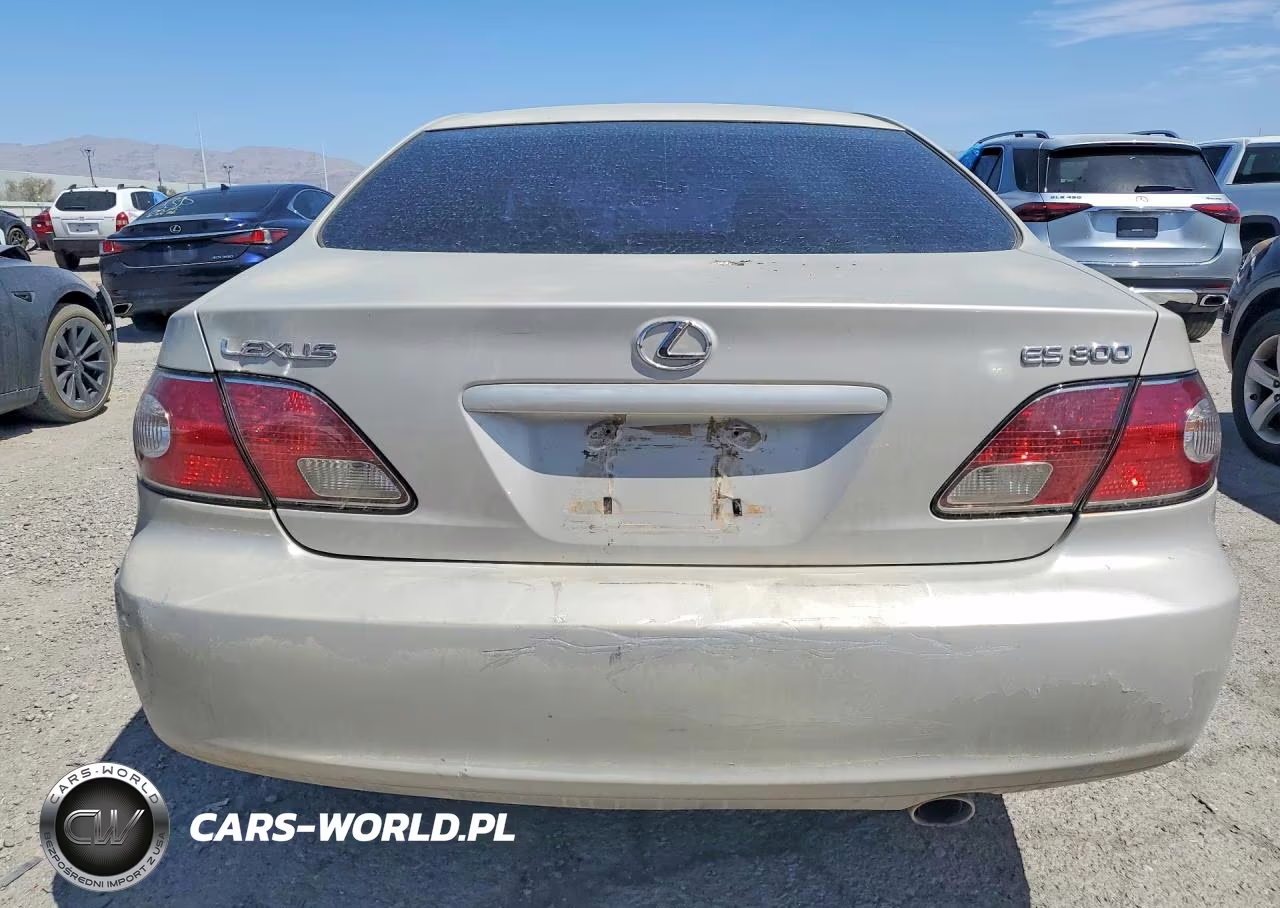 2003 Lexus Es 300 VIN:JTHBF30GX30119795 - 6