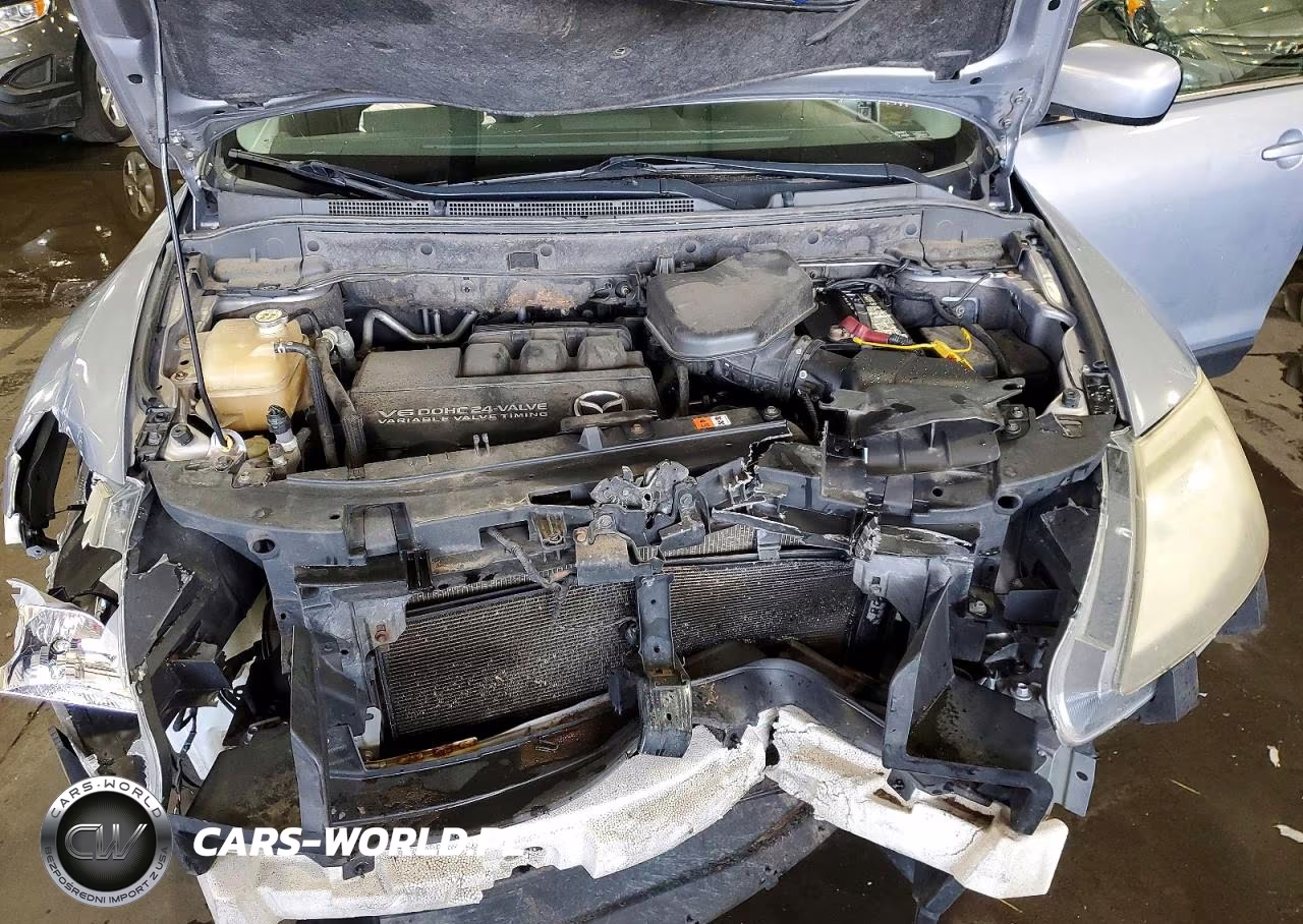 2008 Mazda Cx-9 VIN:JM3TB38A480159502 - 11